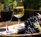 Winery Tours